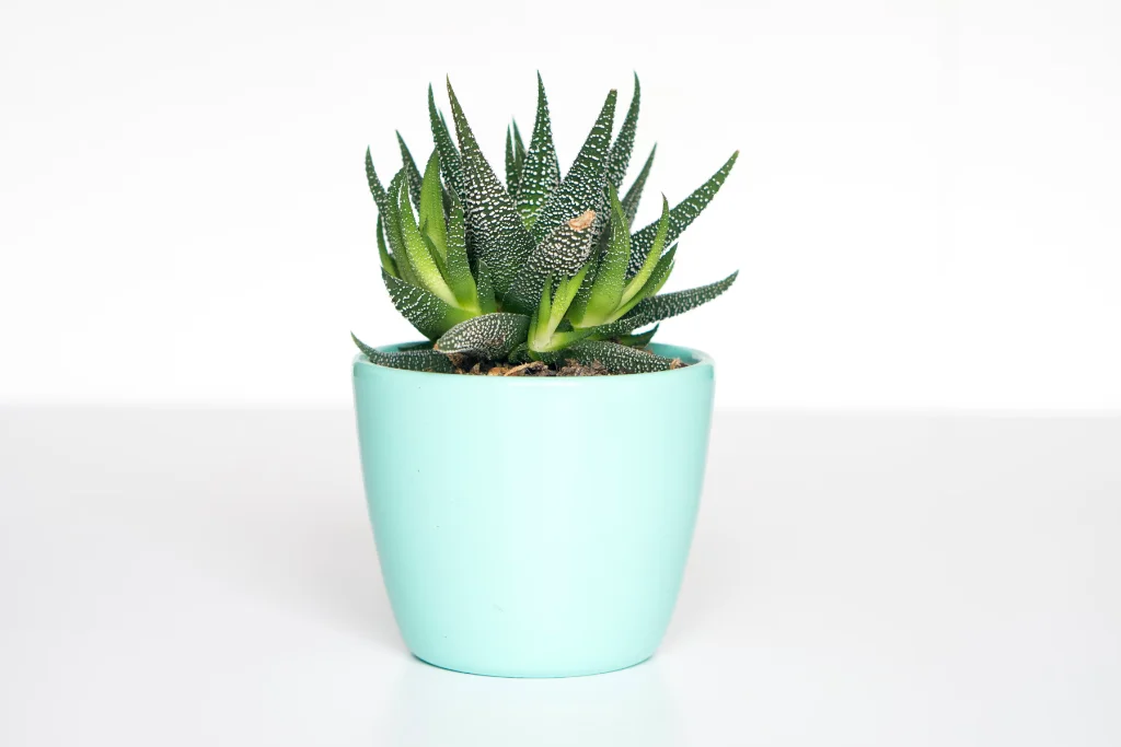 Webová šablona VoltPro Electric